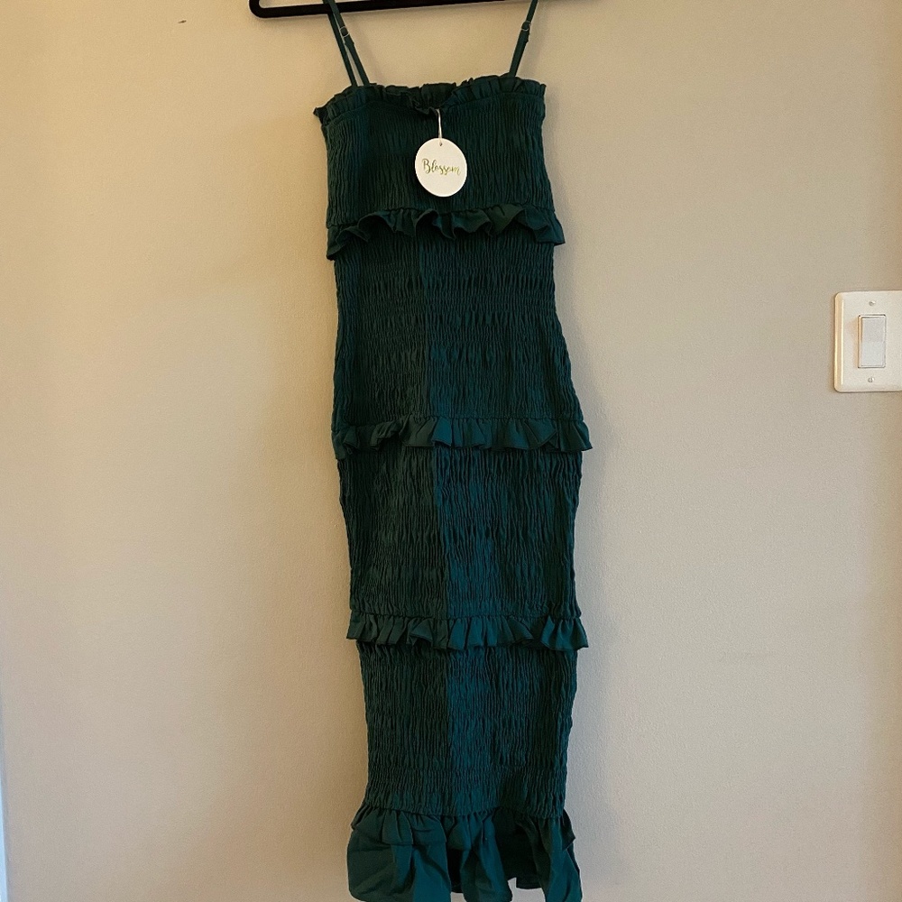 Petal and Pup Midi Ruffle Dress